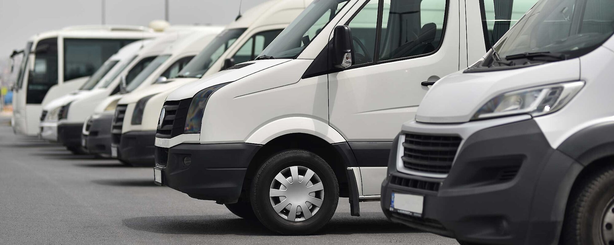 A fleet of white shuttles and busses