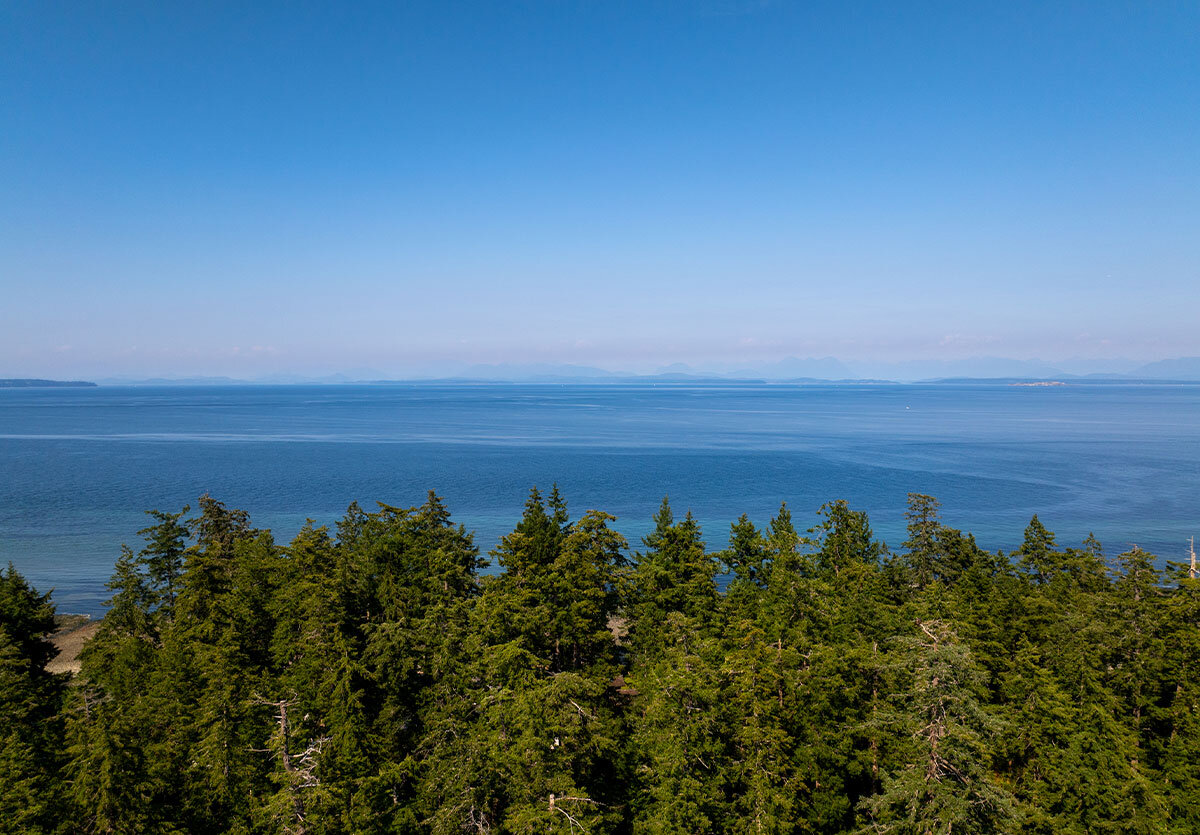 View from the top of Strathcona Provincial Park, overlooking everygreen and the mountains.